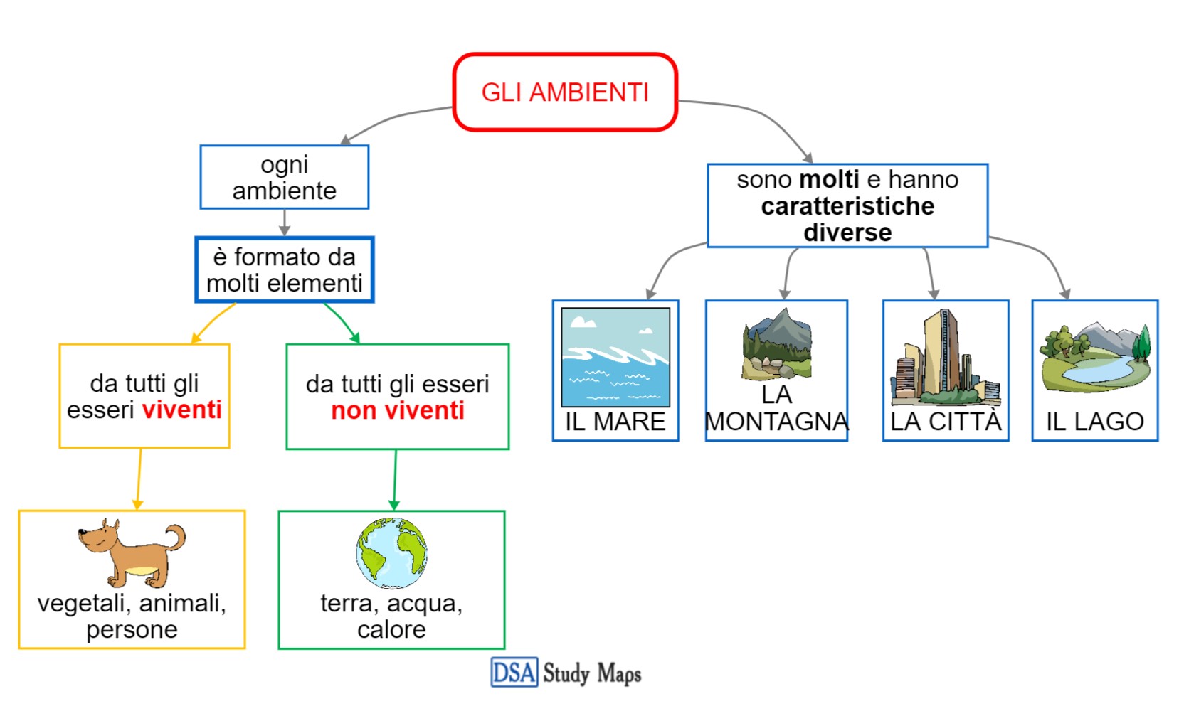 Gli Ambienti Dsa Study Maps