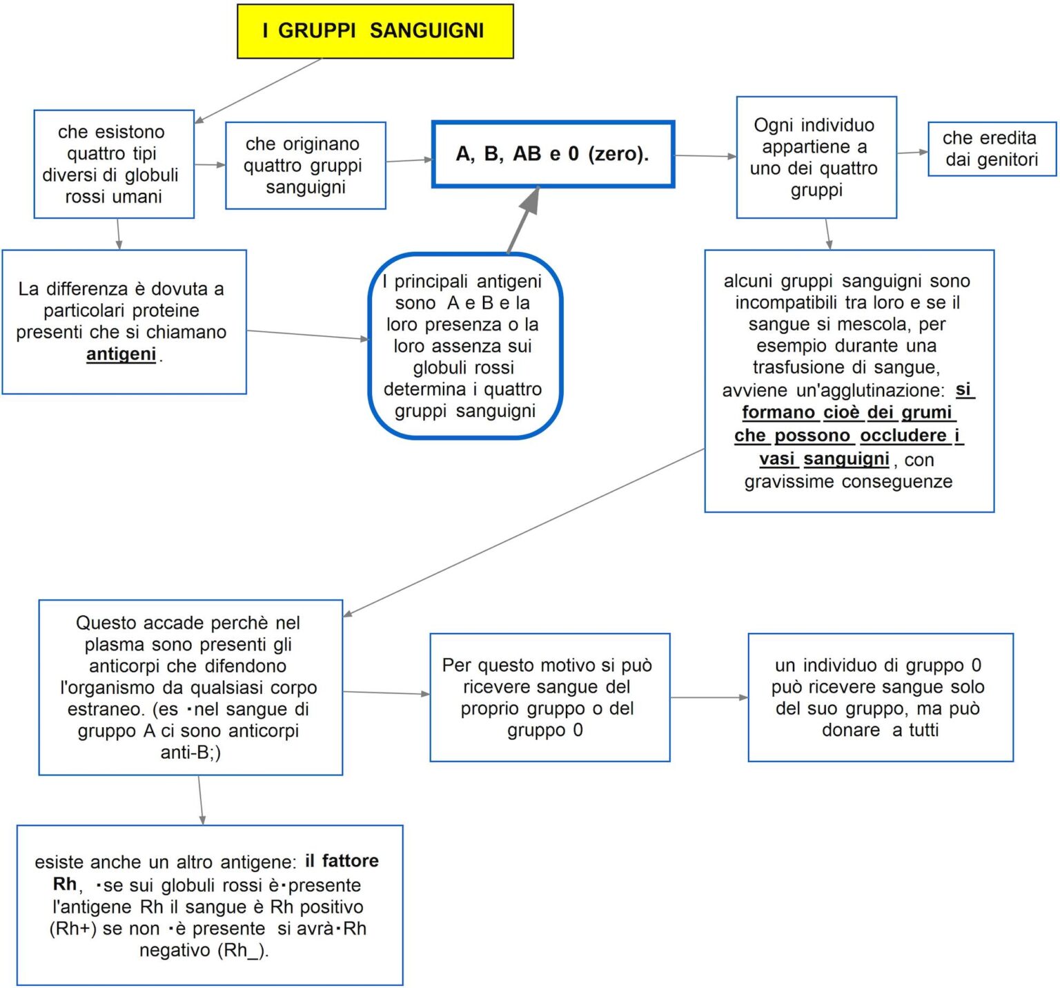 Gruppi Sanguigni - DSA Study Maps