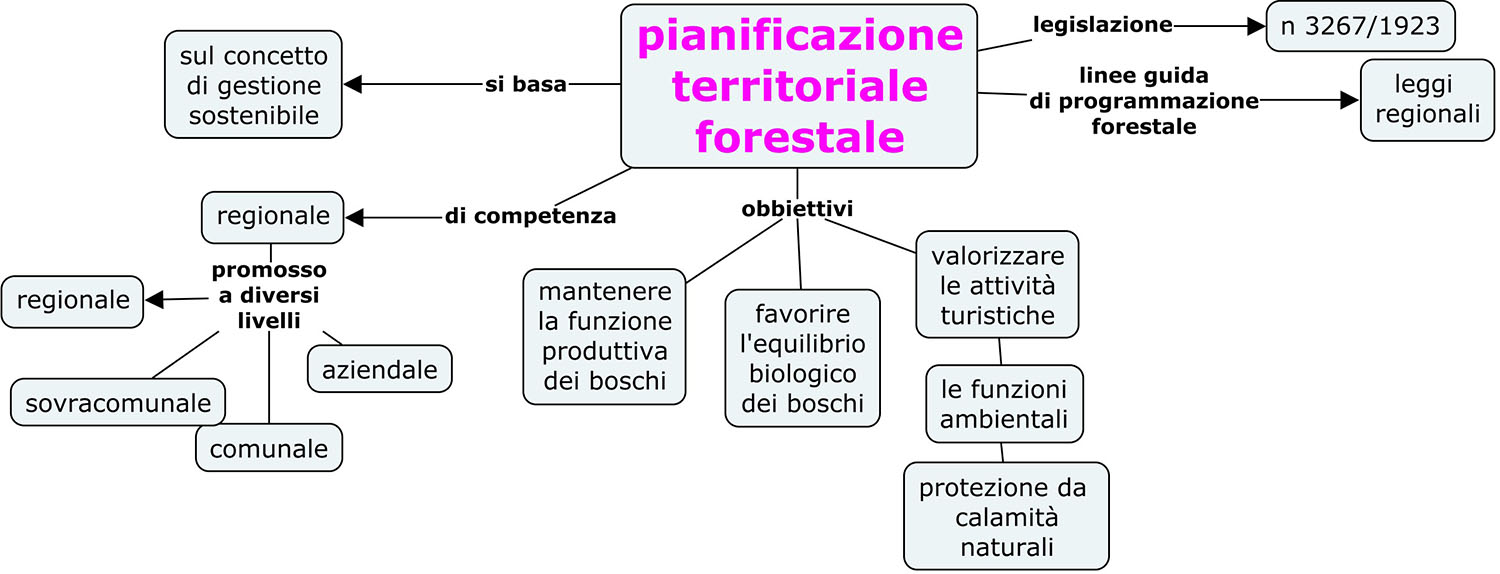 pianificazione territoriale forestale