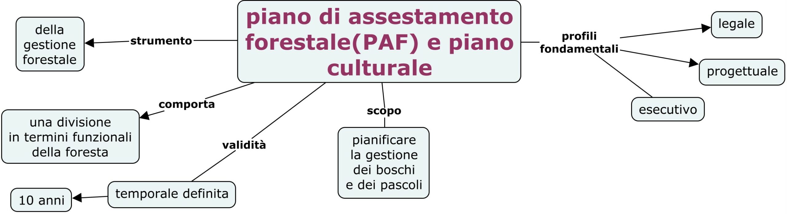  piano di assestamento forestale