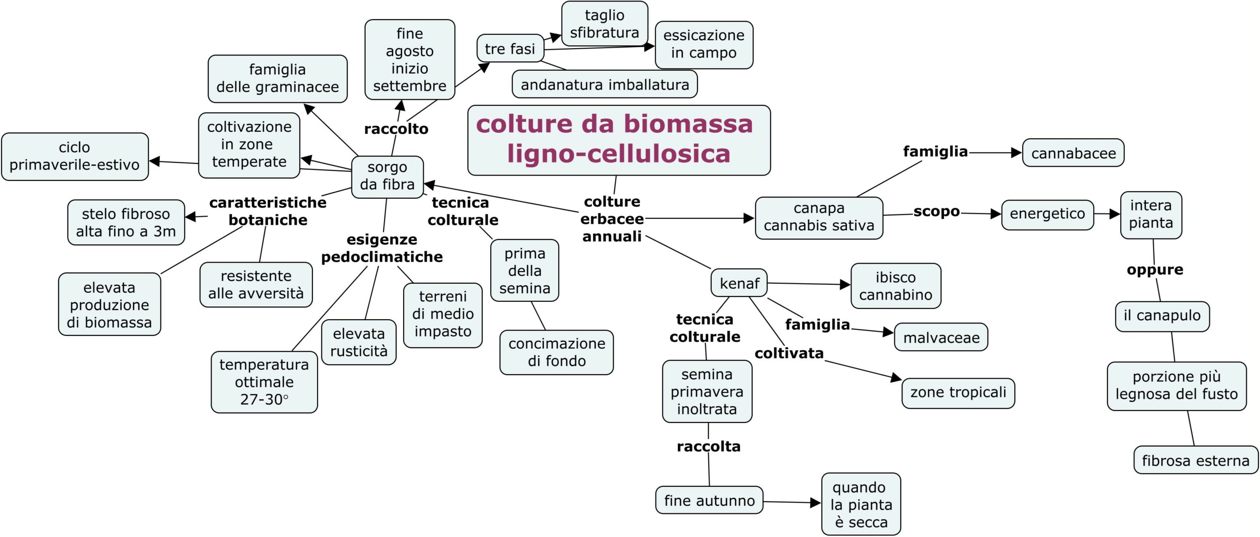 colture da biomassa lignocellulosica