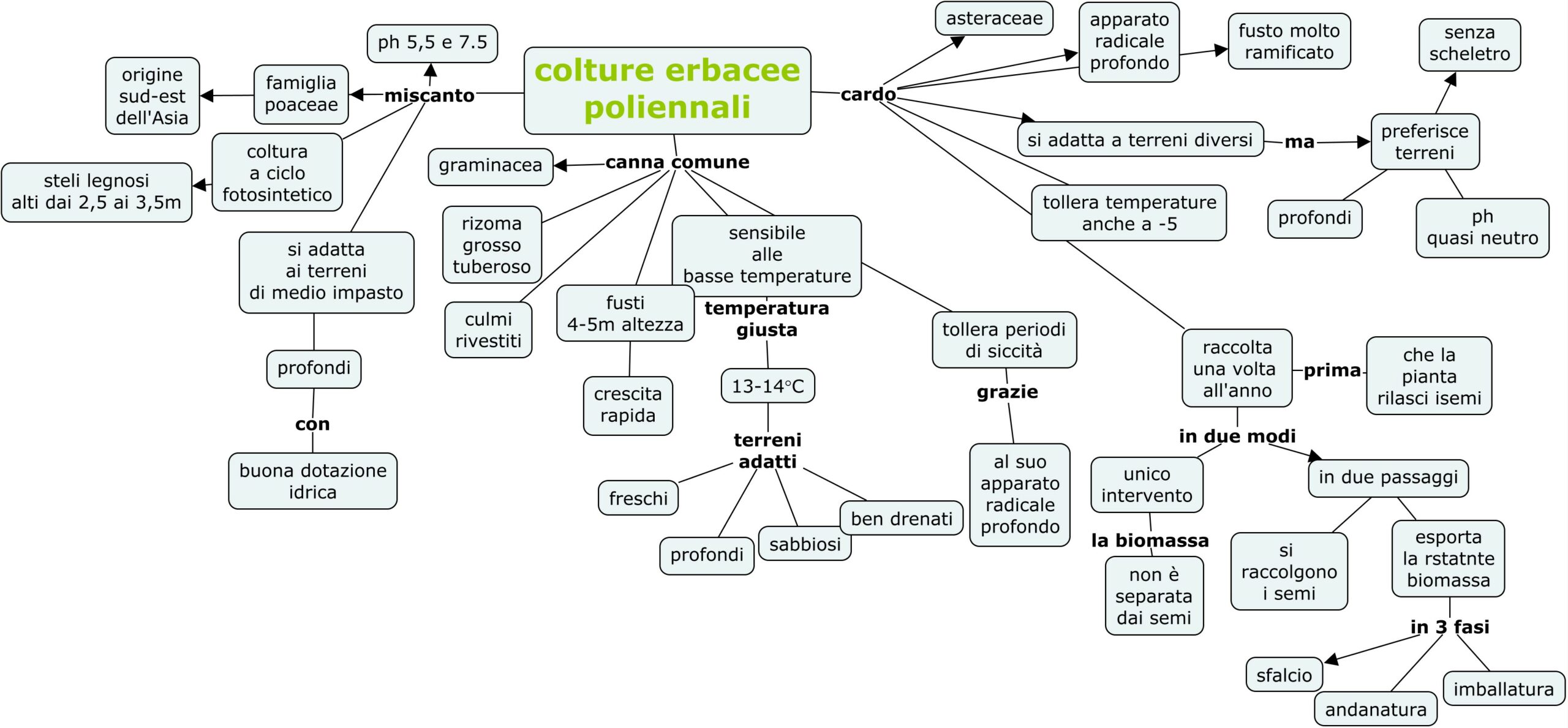 colture erbacee poliennali