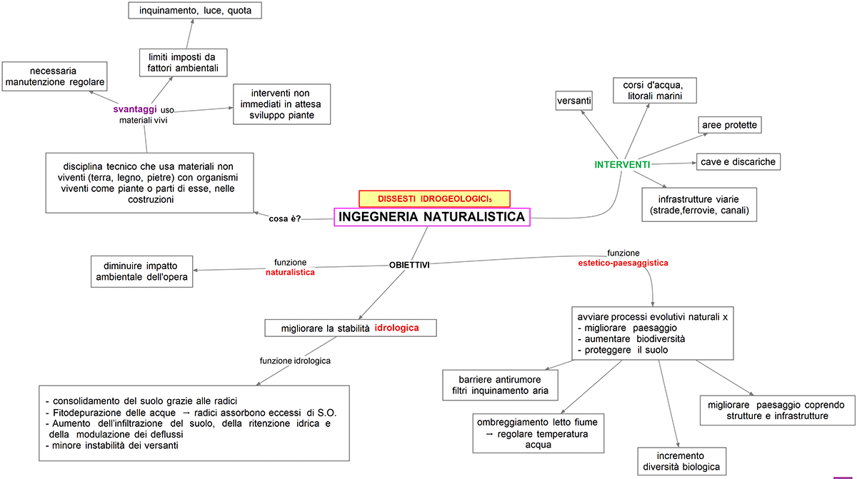 ingegneria naturalistica obiettivi