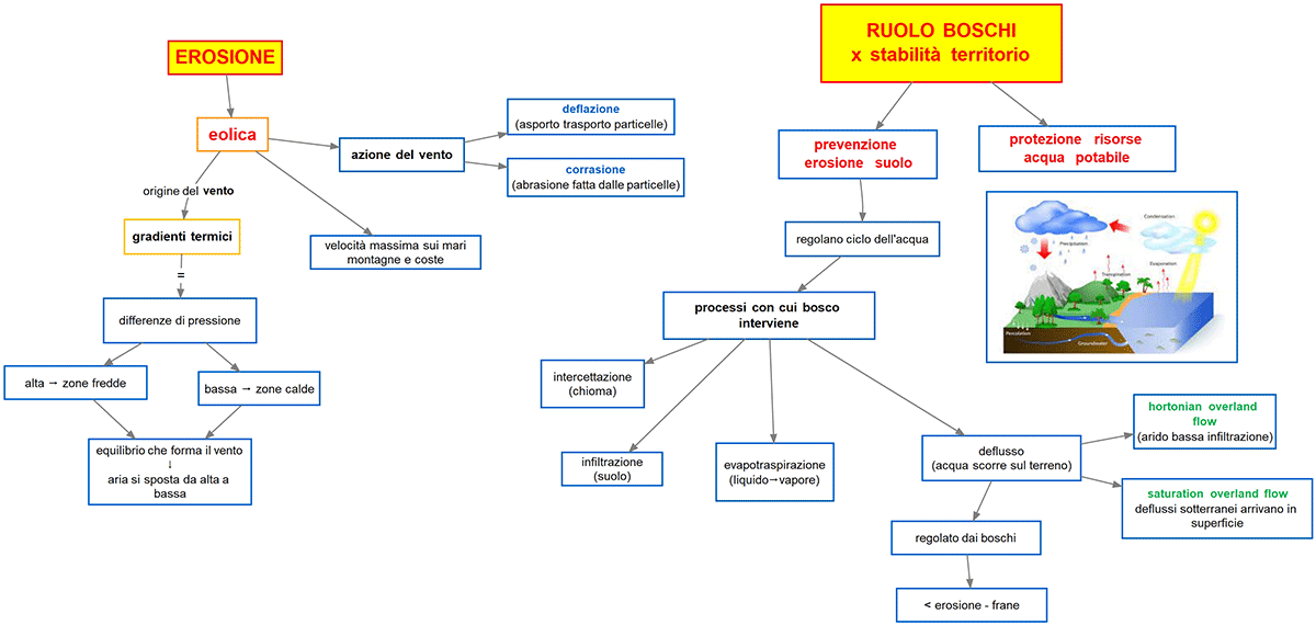 erosione eolica e ruolo boschi