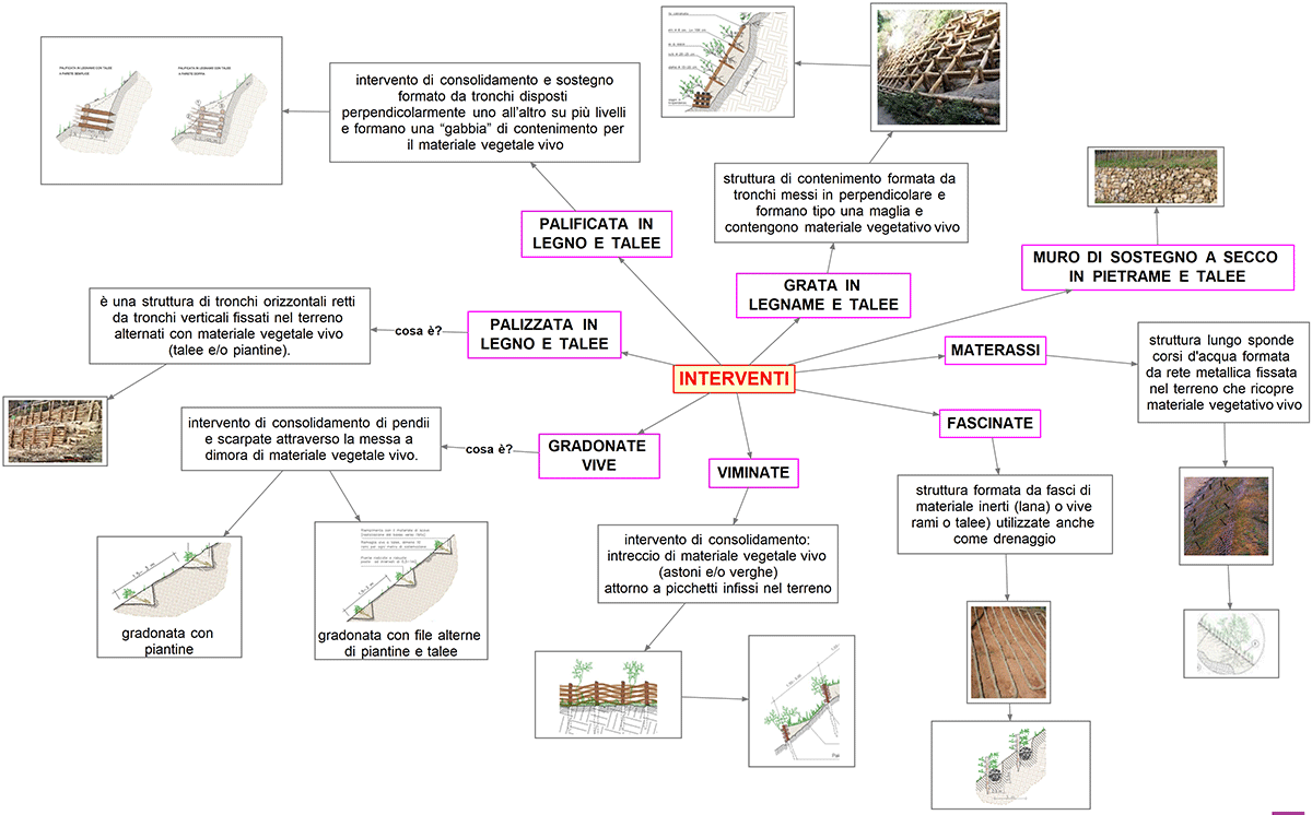 ingegneria naturalistica interventi