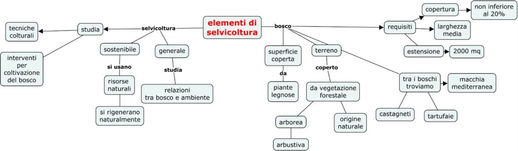 elementi di selvicoltura