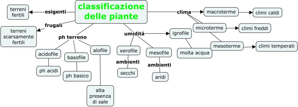 classificazione delle piante