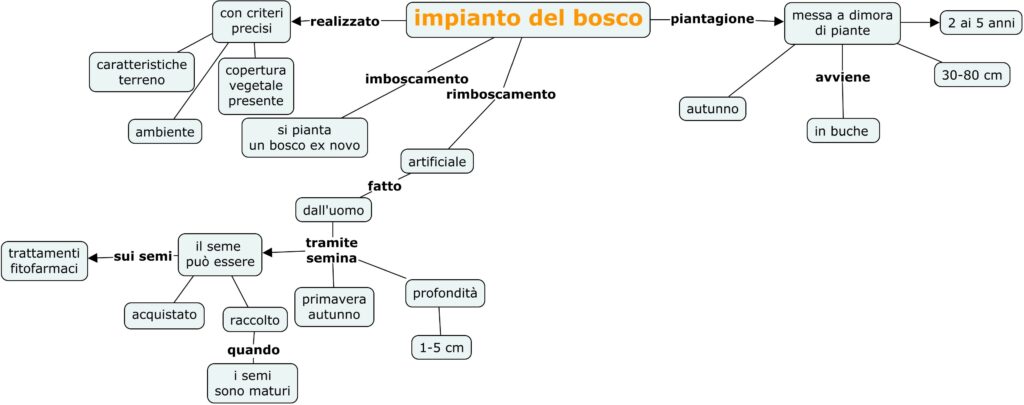  impianto del bosco