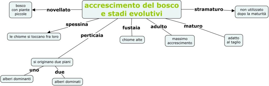 accrescimento del bosco