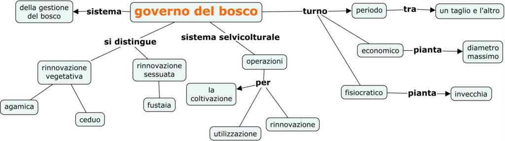 governo del bosco