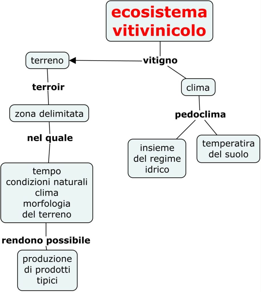 ecosistema vitivinicolo