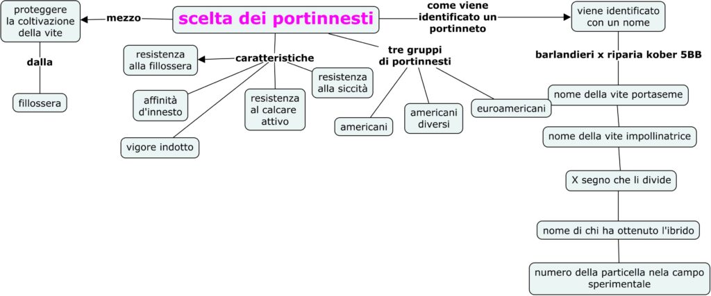 scelta dei portinnesti